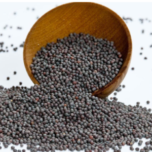 Mustard-Kadugu (கடுகு )100gm
