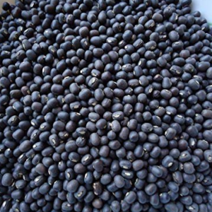 Urad Black Gram 500gm(கருப்பு உளுந்து)