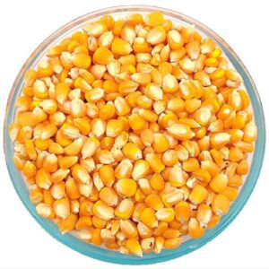 Makka Solam250gm(மக்காச்சோளம்)