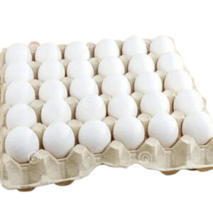 EGG 30 PCS