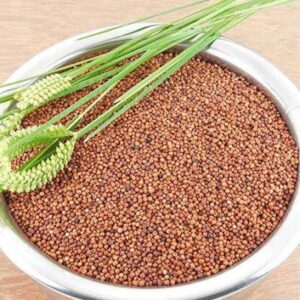 RAGI (கேழ்வரகு) 500g