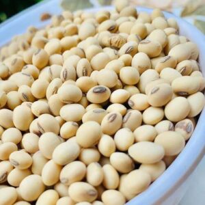 SOYA BEANS 250g (சோயா பீன்ஸ்)