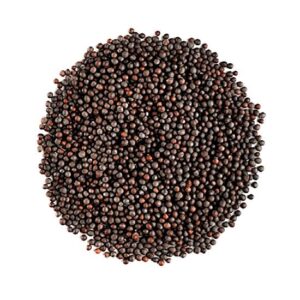 Mustard kaduku 200g ( கடுகு)